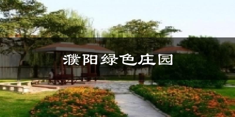 濮阳绿色庄园今日天气