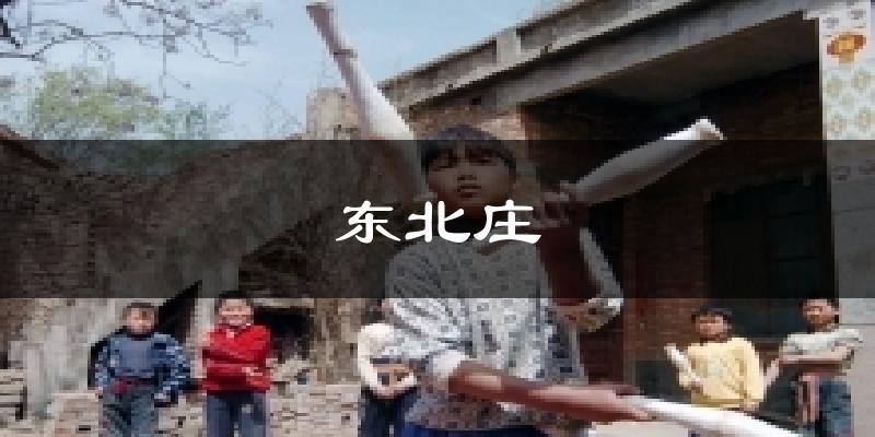 东北庄今日天气