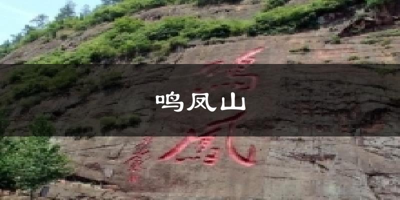 鸣凤山气温
