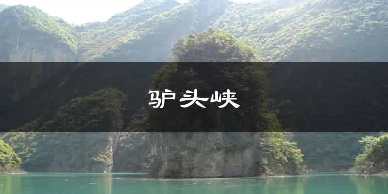 驴头峡气温