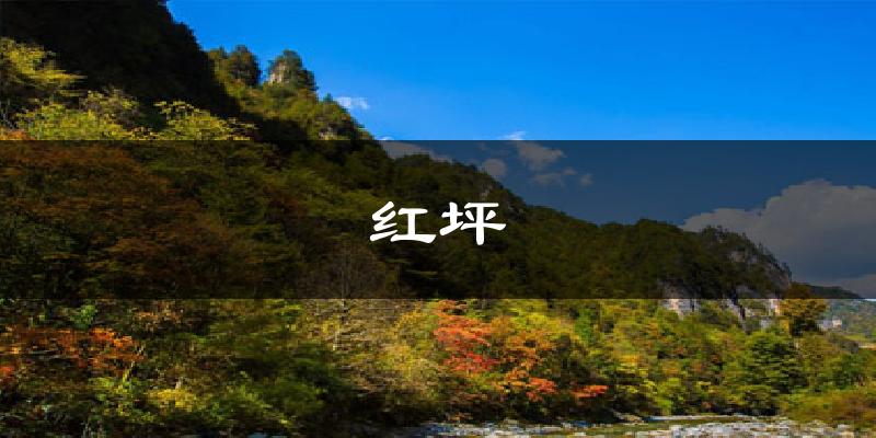 红坪气温