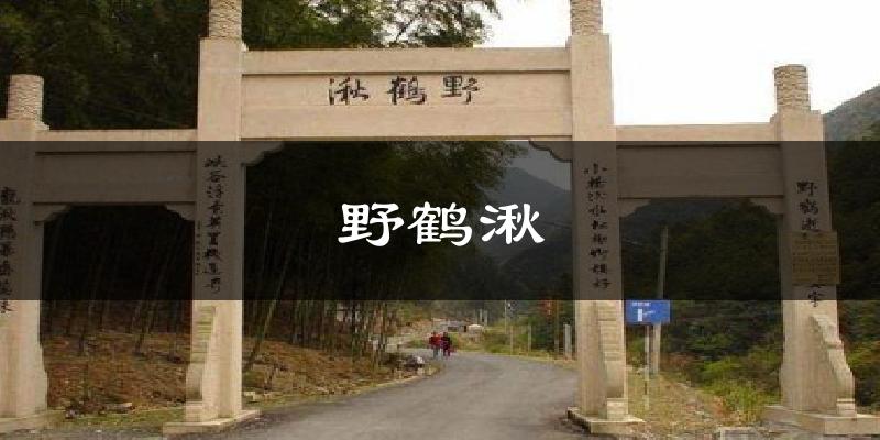野鹤湫气温