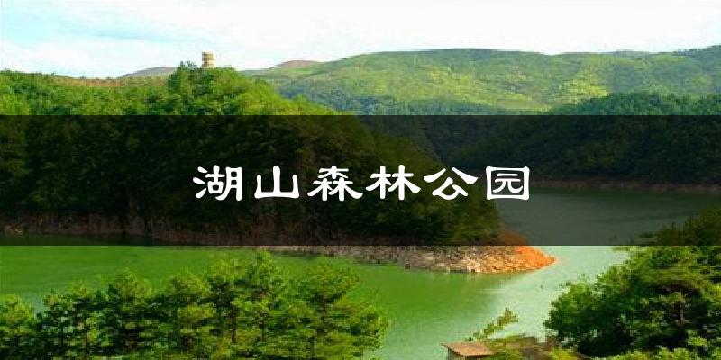 湖山森林公园气温